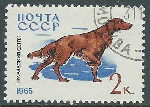 1965 russia usato cani - usato, di