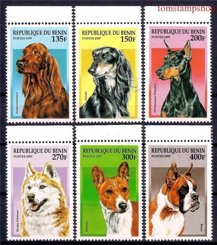 Benin 1997 cani irlandese - benin,
