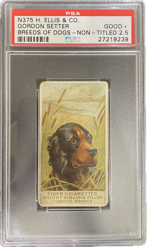 Gordon setter 1889 - gordon,