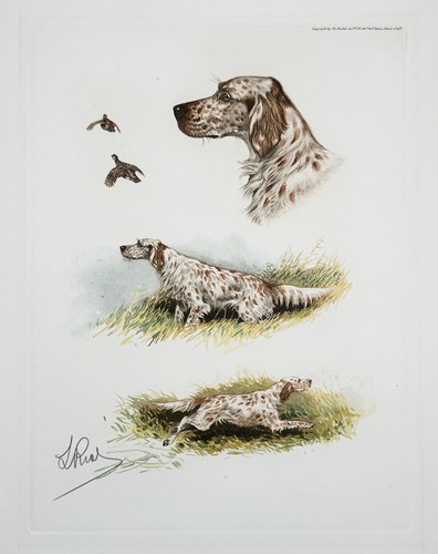 Boris riab cani da - -,