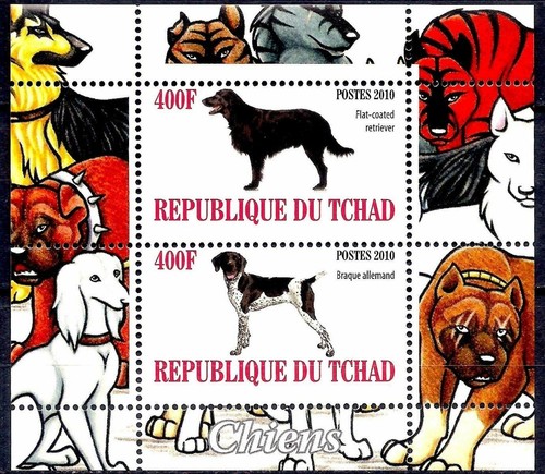 Chad 2010 caccia - chad,