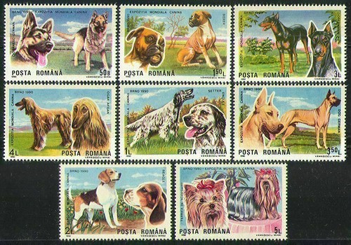 Romania 1990 cani alsaziano - romania,