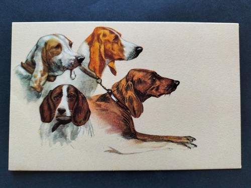 Cartolina cani anni 60 - anni, 50
