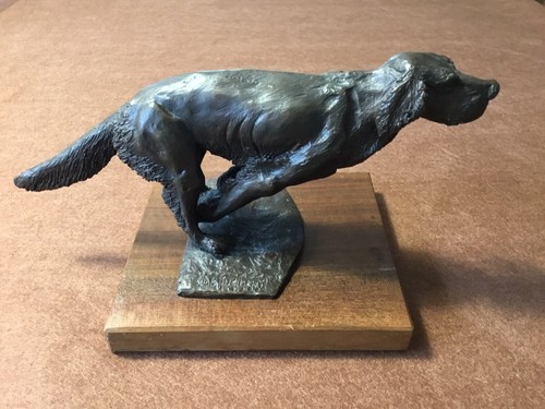 Setter corsa cane - setter, in