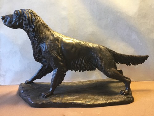 Setter ferma cane da - in,