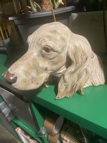 Lladro english setter - setter, head