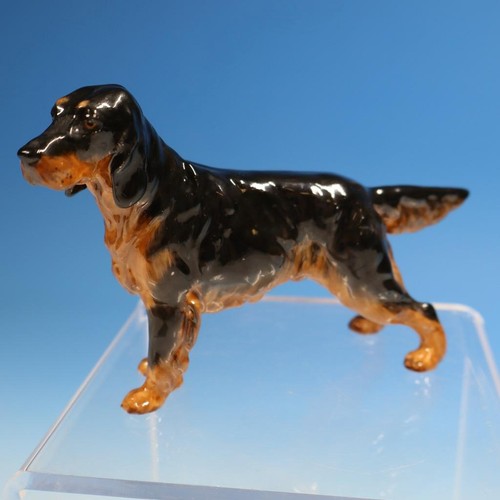 Rara statuina cane royal - rara,