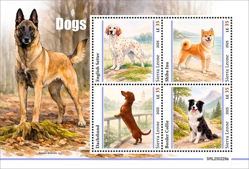 Francobolli cani setter - cani,