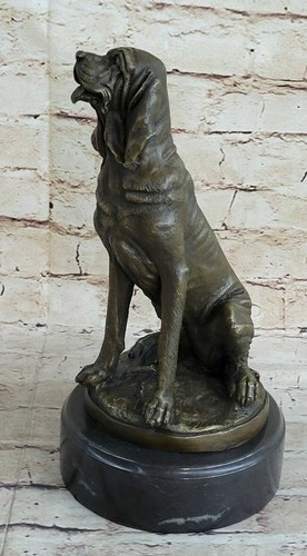 Caccia segugio vizsla cani - segugio,