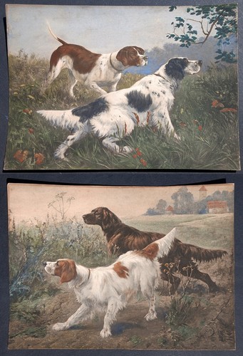 Coppia stampe antiche - stampe,