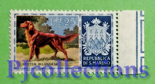 6419 san marino - marino, cani