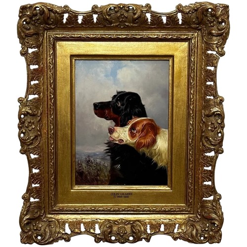 Pittura olio gordon setter - pittura,