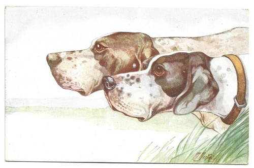 Antica cartolina animali cani - antica, animali: