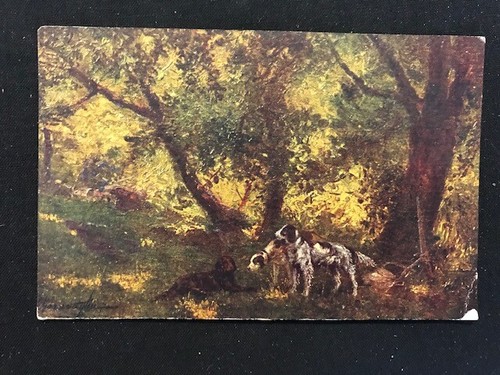Cartolina cani caccia - cani,