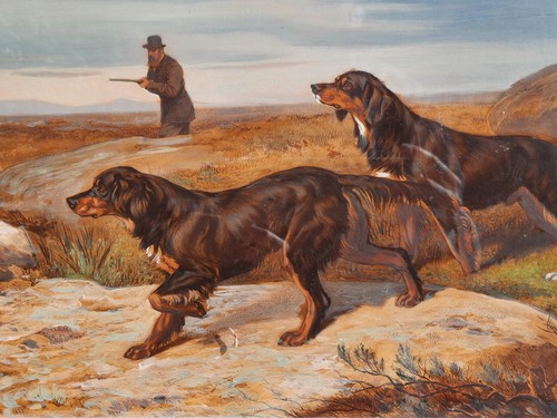 Hopkins - h., (britannico)