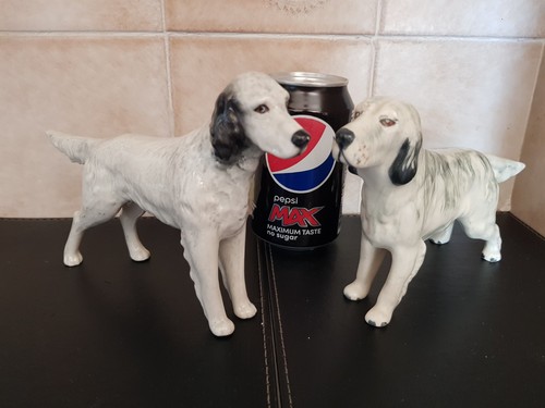 Due rari insoliti cani - due,