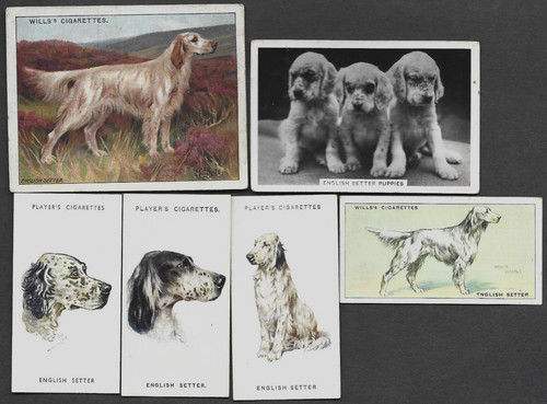 Diverse carte vintage - diverse,