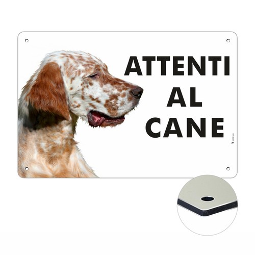 Setter inglese attenti cane - inglese, al