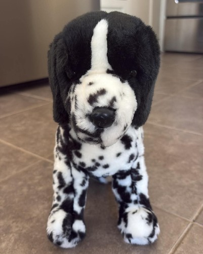 Douglas coccola cane cucciolo - cane,