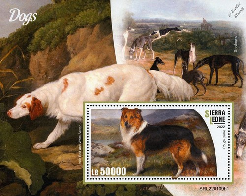 Dogs rough collie - dogs, red