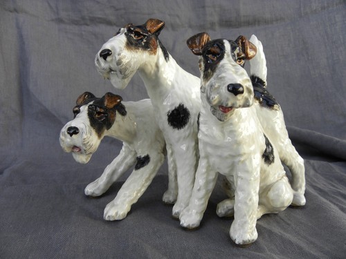 Cani caccia setter bracchi - setter,