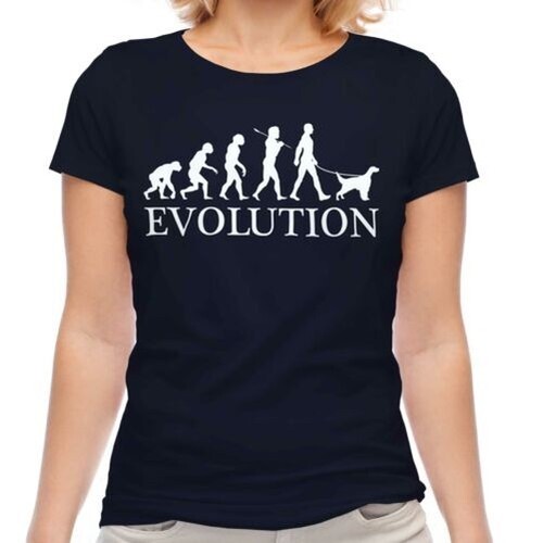 Inglese setter evolution - inglese,