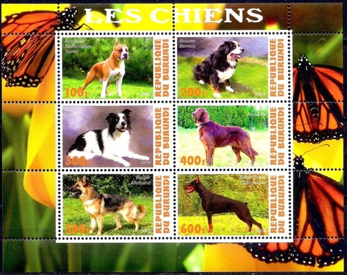 Cani terrier bouvier - cani,