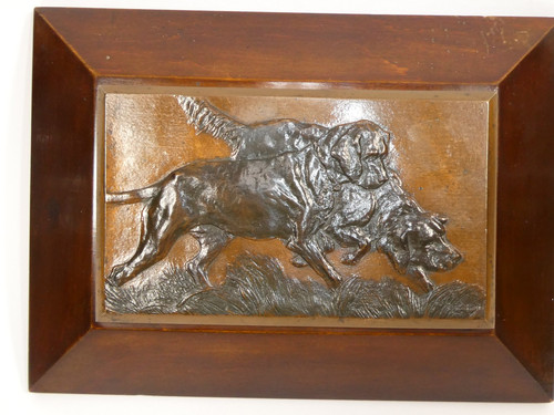 Cani caccia setter - caccia,