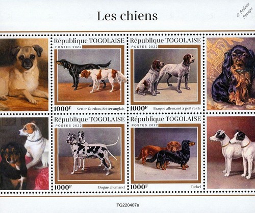 Cani english gordon - cani, (english