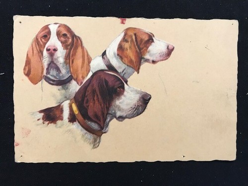 Cartolina cani caccia - cani, da