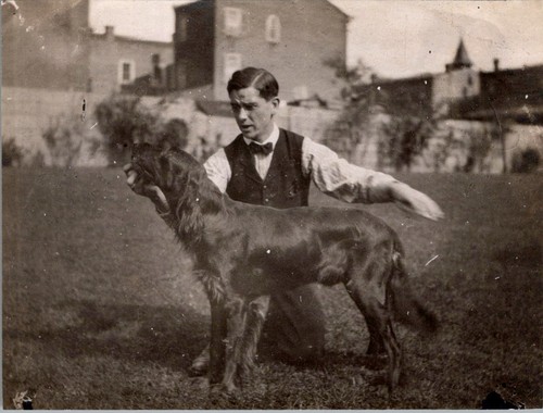 Uomo con cane - , setter