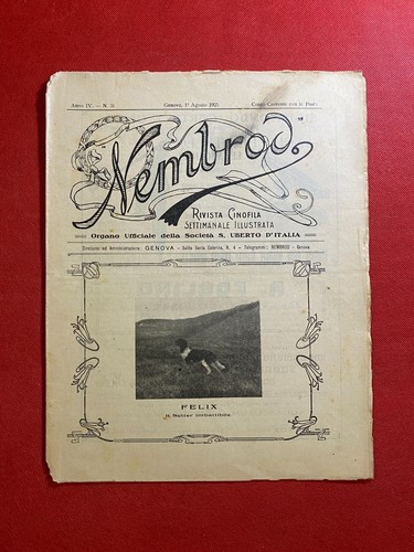 Nembrod 1925 rivista - nembrod, 31