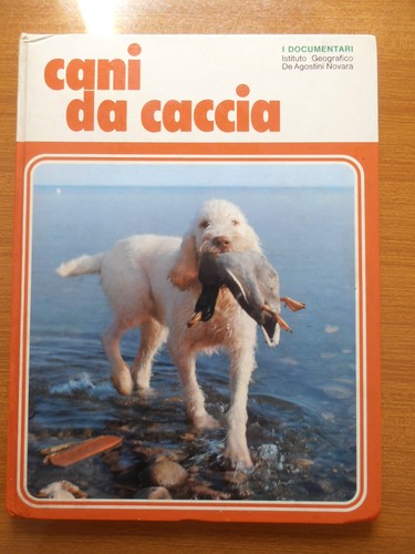 Cani caccia razza ferma - caccia,
