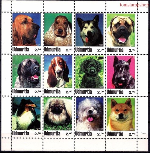 Cani collie bulldog - cani,
